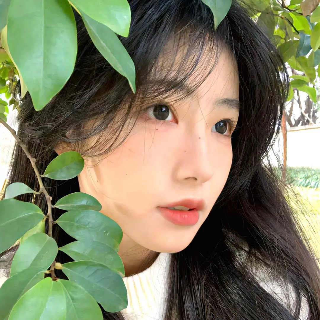 革命往事
